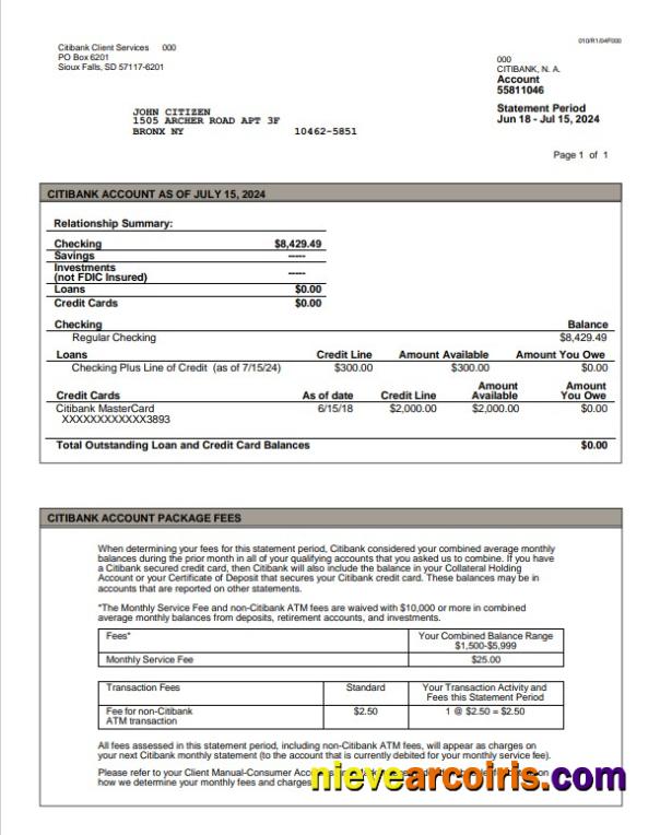 USA Citibank statement Word and PDF example, version 3